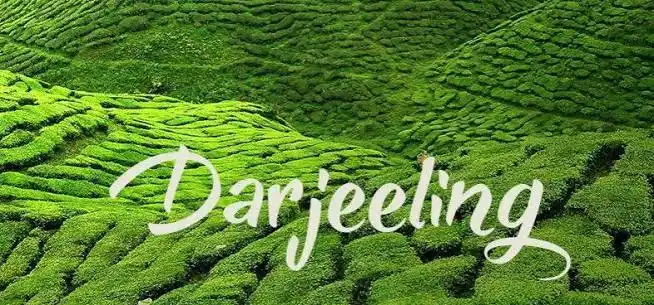 Darjeeling: The Queen of the Himalayas - Darjeeling Tour Package from Madurai | By2 Travel