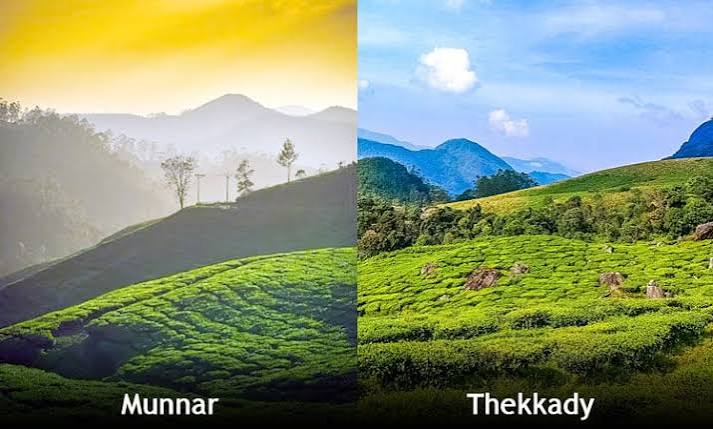Misty Munnar & Wild Thekkady